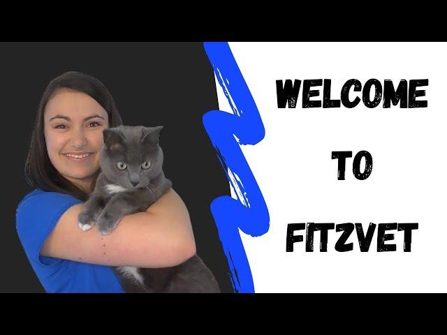 Welcome to FitzVet!