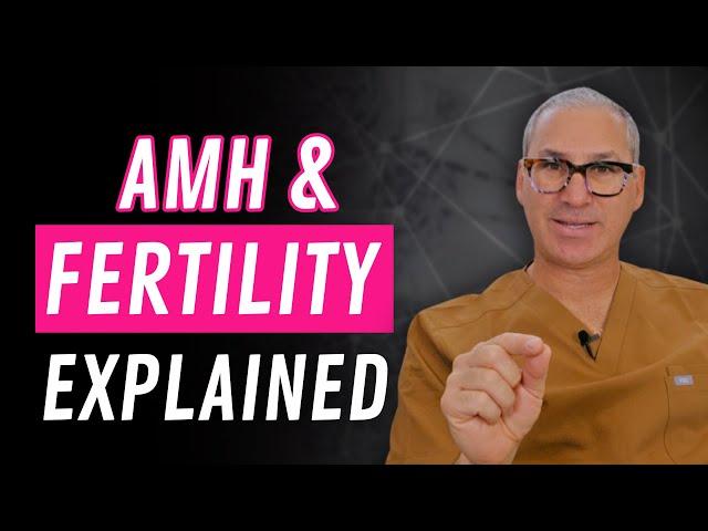 AMH Levels & Fertility | What You Need to Know