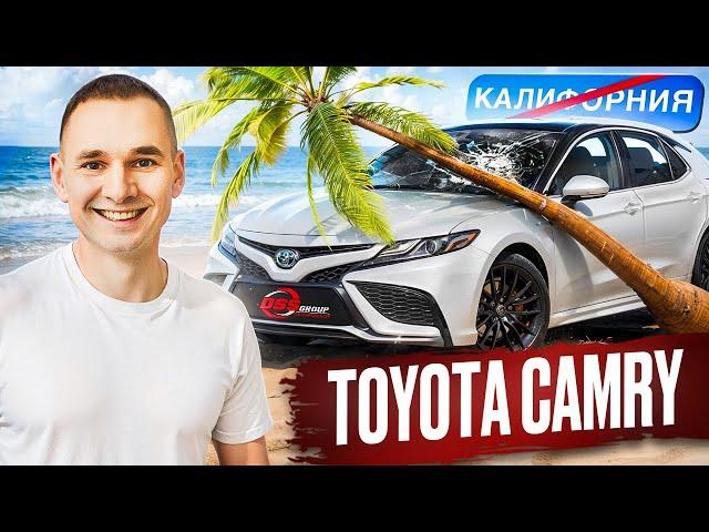 Пальма на крыше или жесткая коррозия? Ищем живую Camry 70 по низу рынка