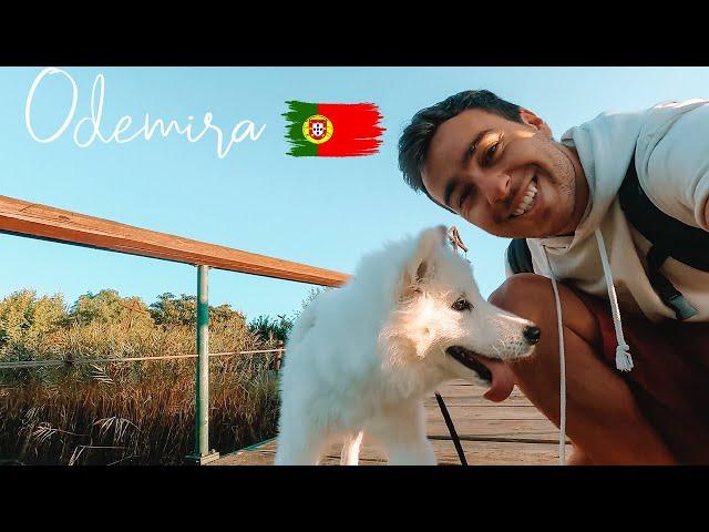 Most underrated Market village in ALENTEJO? Odemira Portugal | Nomad artist and samoyed dog