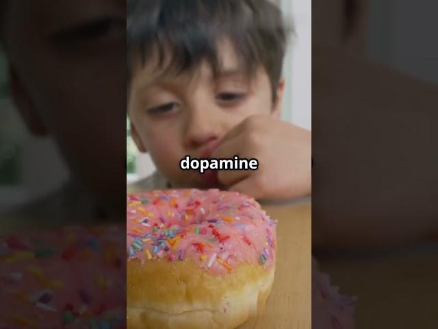 Sugars Sneaky Effects on Your Brain!    #shorts #didyouknow #mindspark #sciencefacts