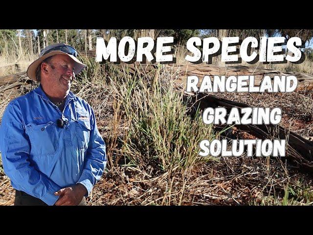 From Crisis to Thriving: Regenerative Grazing in Outback NSW