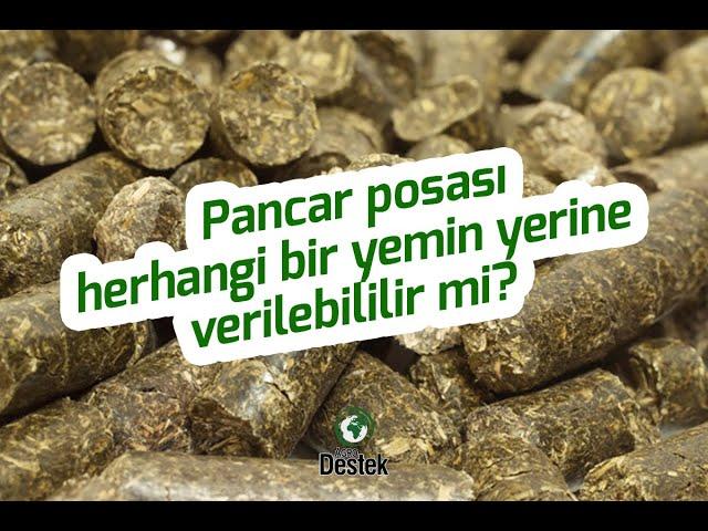 Pancar Posası herhangi bir yemin yerine verilebilir mi?