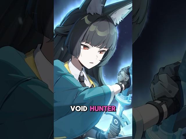 WHAT Are Void Hunters? Miyabi Explained! | Zenless Zone Zero lore