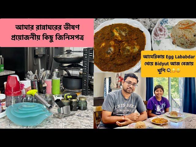 আমেরিকায় Egg Lababdar খেয়ে Bidyut আজ বেজায় খুশি আমার রান্নাঘরের ভীষণ প্রয়োজনীয় কিছু জিনিসপত্র