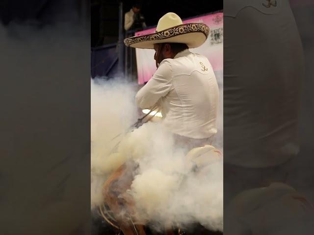 Piale!!!  #ecproduction #charrería #explore #shorts #trending #mexico #cowboys