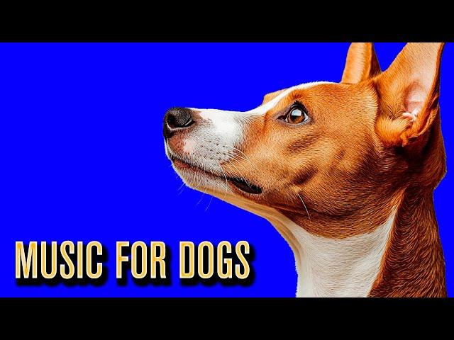 Music for Dogs to Relax to! The Best Soothing & Calming Dog Music on YouTube!