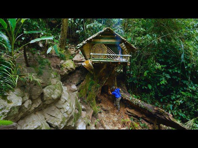 Full Video: 22 days solo Bushcaft & Build a log cabin on an ancient tree in a fairy tale.