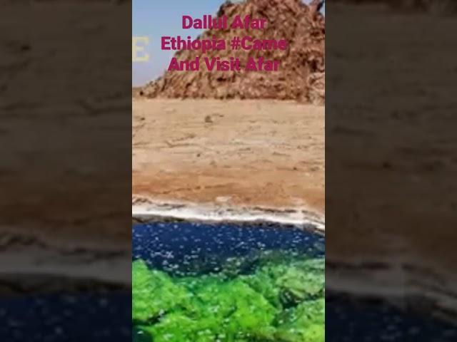 Dallul Afar