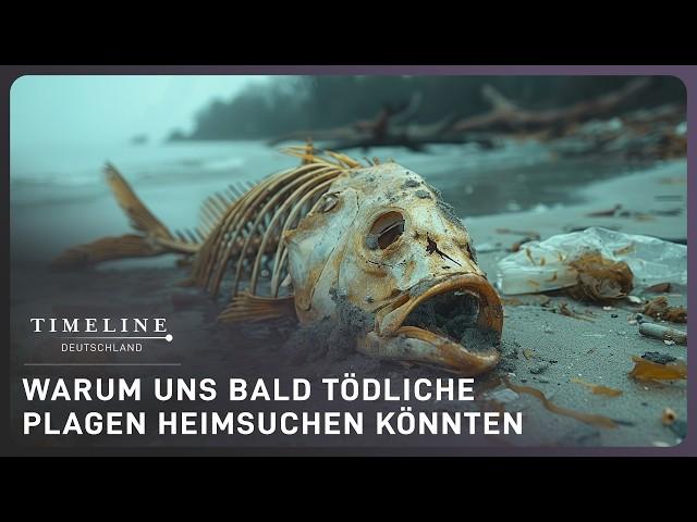 Prophezeiung Gottes: Wird Wasser in Zukunft tödlich sein? | Doku | Timeline Deutschland