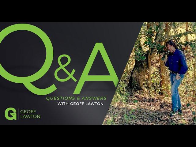 Plant Succession in a Forest