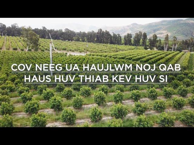 COV NEEG UA HAUJLWM NOJ QAB HAUS HUV THIAB KEV HUV SI (Hmong translation)