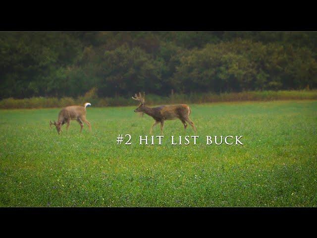 | Hunting Hit List Bucks In The Round Bail Blind |