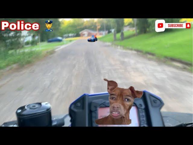 Pitbull Kennel Update Turns Into Police Chase?