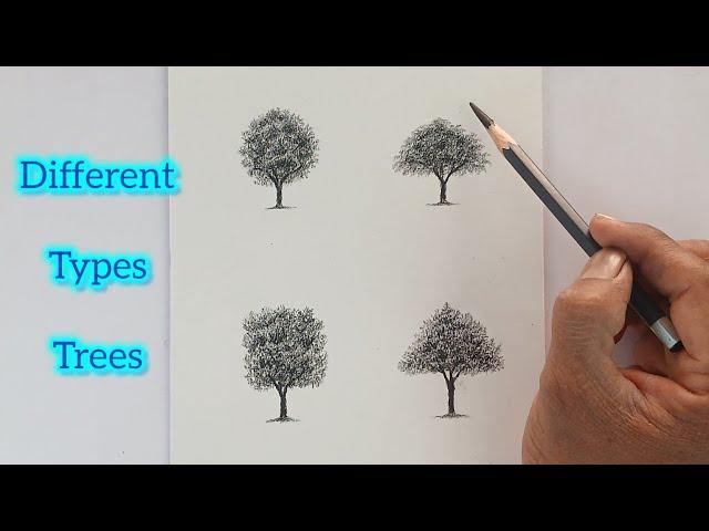 Different types trees drawing by pencil with easy ways.