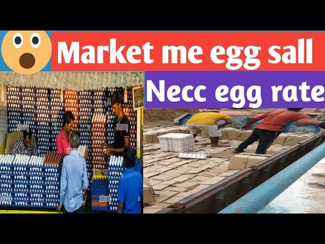 market me egg sall necc egg rate keise dekha jata hai