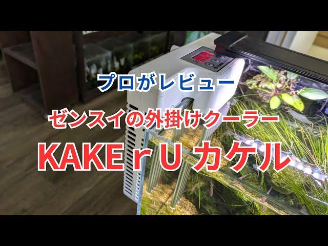 外掛け式クーラー ゼンスイ KAKEｒU（カケル）をレビュー！ 水槽に引っ掛けるだけで設置できるペルチェ式クーラー