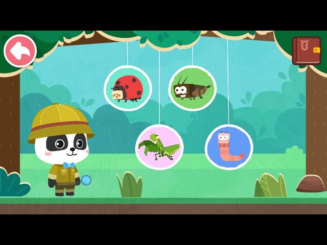 BAYI PANDA KIKI BELAJAR MENGENAL HEWAN SERANGGA | KARTUN ANAK | BABYBUS INDONESIA