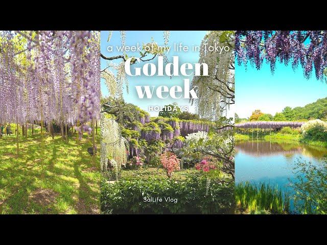 Golden week in Japan| Day trip to Hakone, museums, Ashikaga flower park, TeamLab |Tokyo Vlog