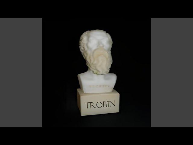 Trobin: World Tour