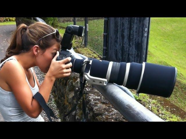 Bird and Wildlife Photography Equipment: Lenses, cameras, teleconverters, tripods, monopods