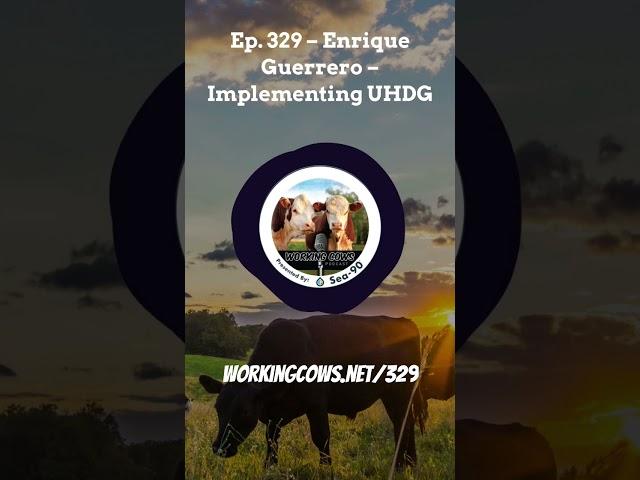 Enrique Guerrero shares the reward after 9 years of UHDG