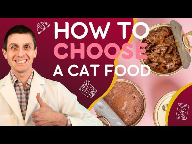 5 Must-Know Tips for Choosing the Best Cat Food