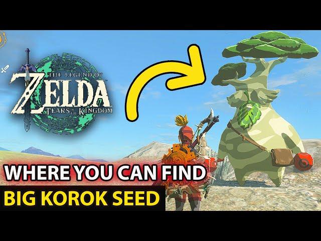 Where You Can Find First Time Big Korok Seed Location Guide  The Legend of Zelda Tear of the Kingdom