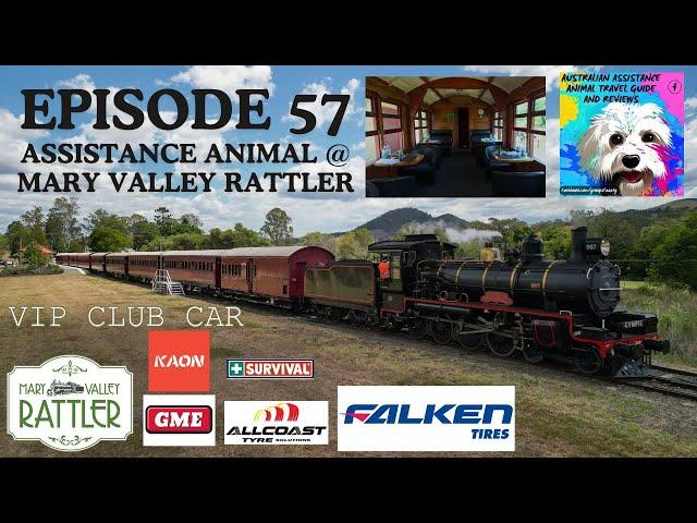 Assistance Animal  tries the  VIP Club Car on the Mary Valley Rattler Experience , Gympie QLD