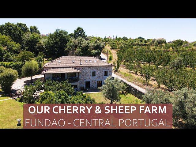 FULL TOUR OF OUR CHERRY & SHEEP FARM IN CENTRAL PORTUGAL - FUNDAO