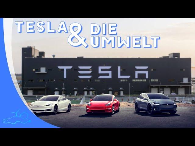 Teslas Umweltauswirkungen | Wie sauber ist Tesla? | Steckt mehr dahinter?