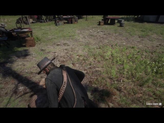 RED DEAD REDEMPTION II | Cinematic Playthrough #7