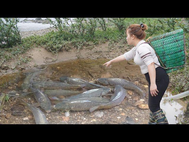 Full Videos: Greatest Fishing Video, How To Catch Fish In The Wild, Catch A Lot Of Fish