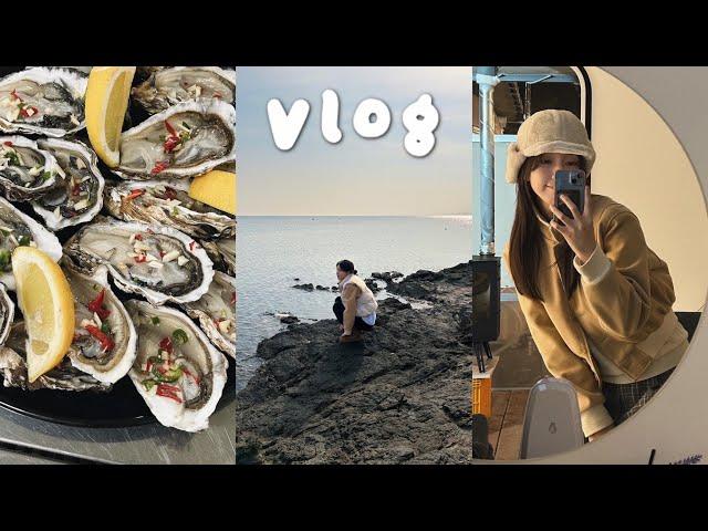 (vlog) 국내 여행 브이로그 /게국지 소울푸드 등극, 게장 맛집, 겨울여행, 굴찜, 석화랑 소주, 캠핑 없는 캠핑카️)