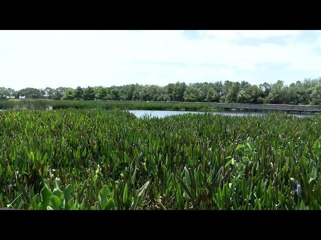 Green Cay Nature Center set for expansion