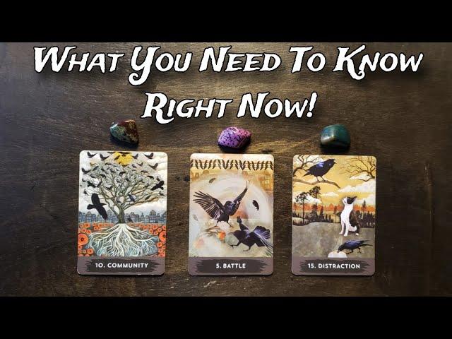 ‍️ What You Need To Know Right Now! ‍️ Pick A Card Reading