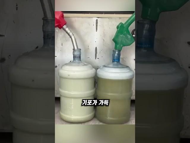 주유할 때 기름이 덜 들어가는 진짜 이유!