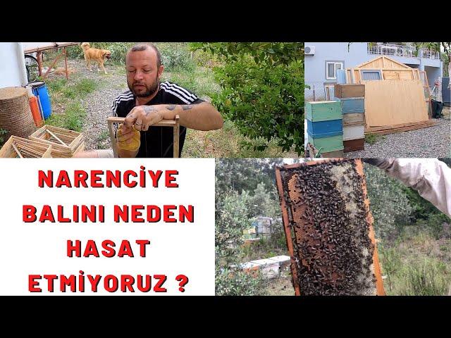 Köyceğiz'de Son Gün | Bahçemize Veda | Gezici Arıcılık