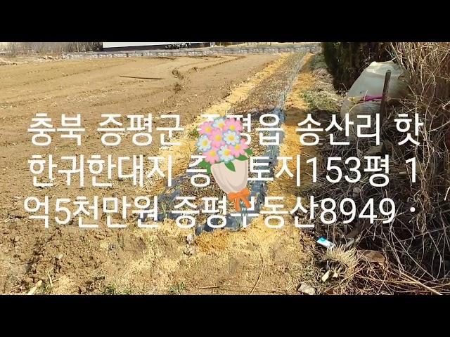 [증평부동산8949Tv] 증평토지,증평대지,증평땅,충북증평군 증평읍 개발지구인 송산리 핫한귀한 증평대지(토지) 153평 15300만원