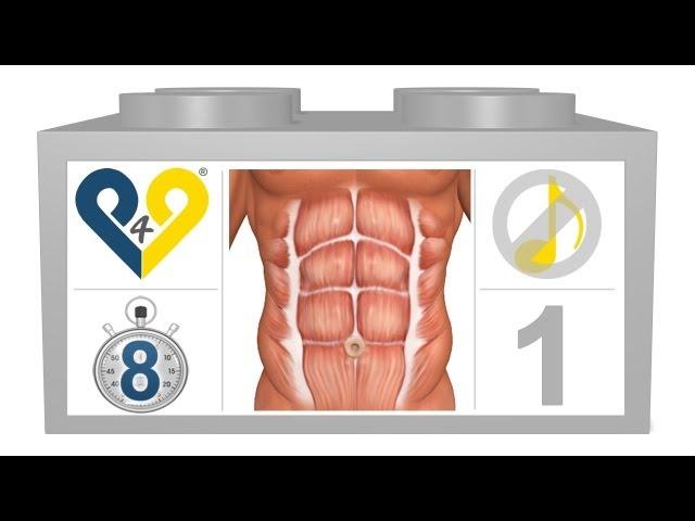 8 Min Home Abs Workout (Level 1, No Music)