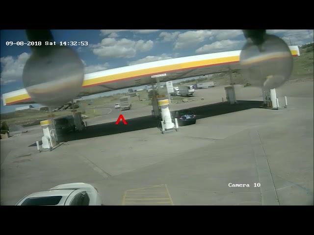 Dog tied to moving truck rescued by sheriff's deputy in Arizona