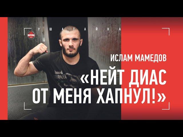 Дал Диасу по мягкому месту / Ислам Мамедов - о Хабибе, школе Абдулманапа и драке с Нейтом Диасом