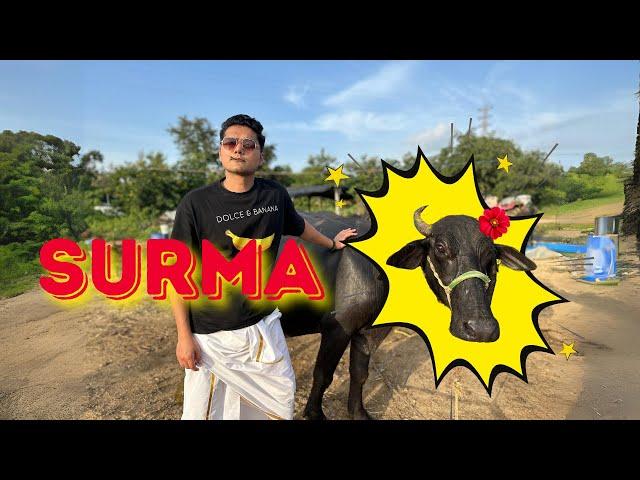 Surma (Official Video) | Umar Quadri ft  | UAB Music