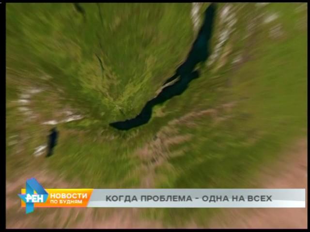 Как у них: ситуация с отловом бездомных животных