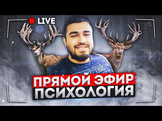 Прямой Эфир | 13.11.2024