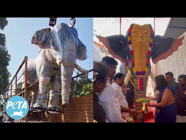 Mechanical Elephant Travels the World With PETA to Stop Elephant Abuse