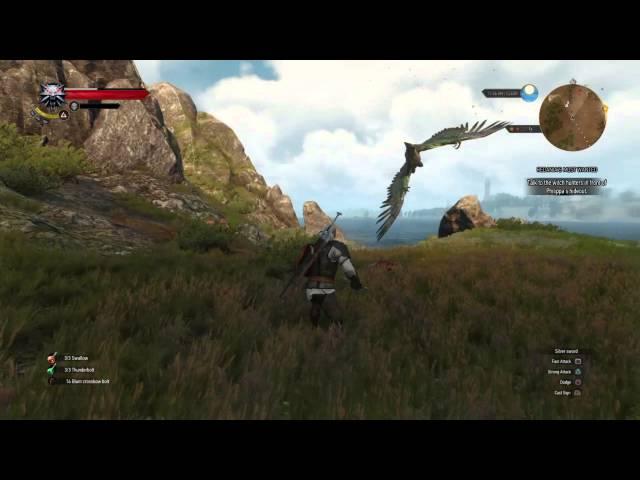 The Witcher 3: Unbelievable crossbow shot!