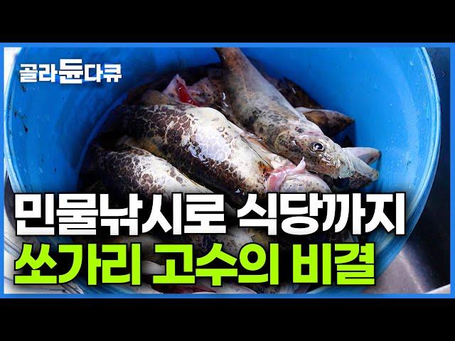 새벽엔 호수에서 쏘가리 잡고 점심엔 매운탕 파는 낚시 달인의 하루│제천 청풍호 민물 낚시 고수의 비결│고향민국│#골라듄다큐