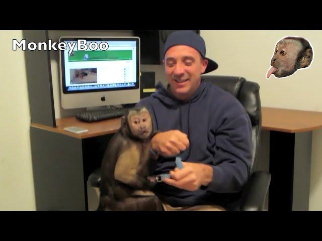 MonkeyBoo's 50th Video! with Baby Boo