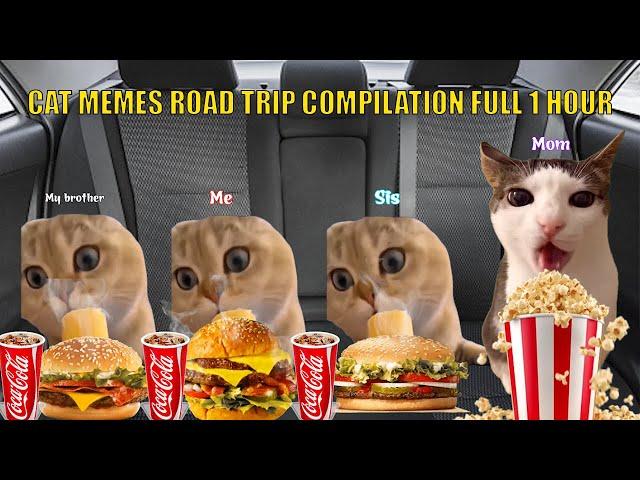 CAT MEMES: Road Trip Compilation Full 1 Hour